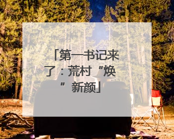 第一书记来了：荒村“焕”新颜