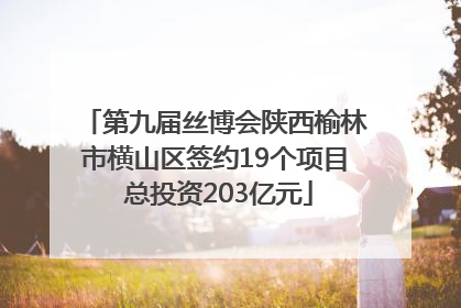 第九届丝博会陕西榆林市横山区签约19个项目 总投资203亿元