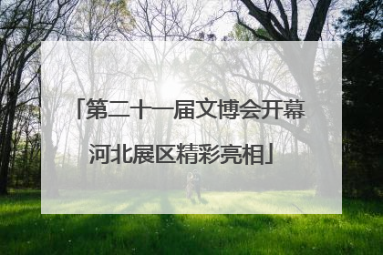第二十一届文博会开幕 河北展区精彩亮相