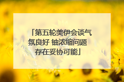 第五轮美伊会谈气氛良好 铀浓缩问题存在妥协可能