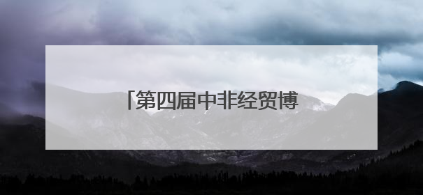 第四届中非经贸博览会非洲外宾代表团考察中伟宁乡基地