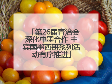 第26届青洽会深化中墨合作 主宾国墨西哥系列活动有序推进