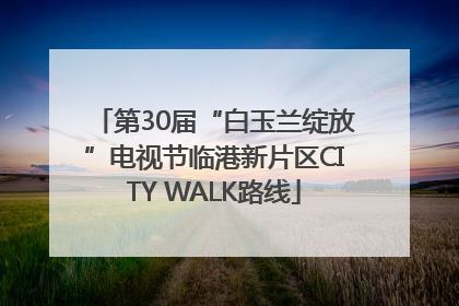 第30届“白玉兰绽放”电视节临港新片区CITY WALK路线