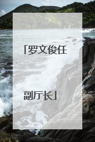 罗文俊任副厅长