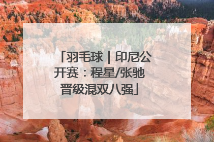 羽毛球｜印尼公开赛：程星/张驰晋级混双八强
