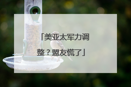 美亚太军力调整？盟友慌了