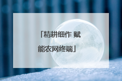 精耕细作 赋能农网终端