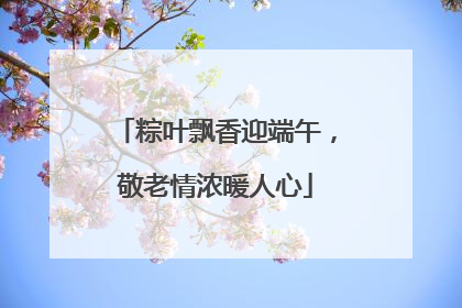 粽叶飘香迎端午，敬老情浓暖人心