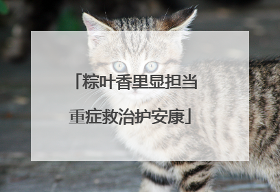 粽叶香里显担当 重症救治护安康