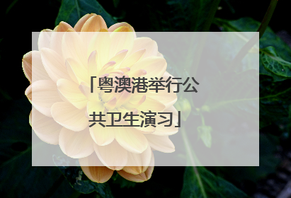 粤澳港举行公共卫生演习