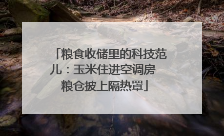 粮食收储里的科技范儿：玉米住进空调房 粮仓披上隔热罩