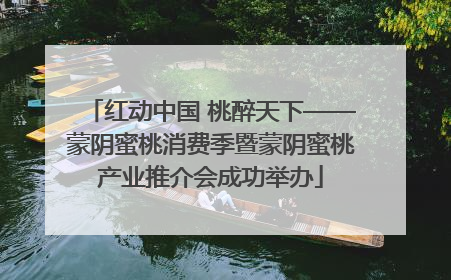 红动中国 桃醉天下——蒙阴蜜桃消费季暨蒙阴蜜桃产业推介会成功举办