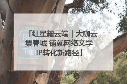 红星耀云端｜大咖云集春城 铺就网络文学IP转化新路径