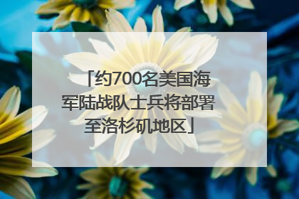 约700名美国海军陆战队士兵将部署至洛杉矶地区