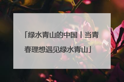 绿水青山的中国丨当青春理想遇见绿水青山