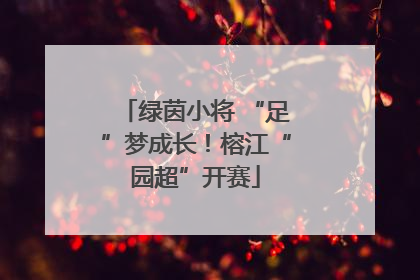 绿茵小将 “足”梦成长！榕江“园超”开赛