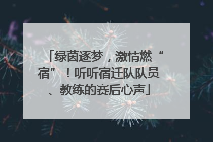 绿茵逐梦，激情燃“宿”！听听宿迁队队员、教练的赛后心声