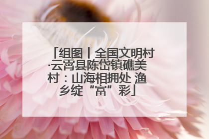 组图丨全国文明村·云霄县陈岱镇礁美村：山海相拥处 渔乡绽“富”彩