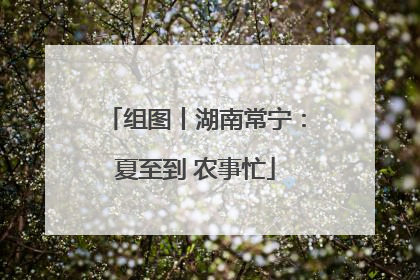 组图丨湖南常宁：夏至到 农事忙