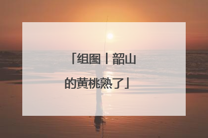 组图丨韶山的黄桃熟了