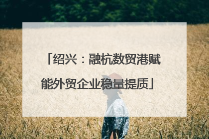 绍兴：融杭数贸港赋能外贸企业稳量提质