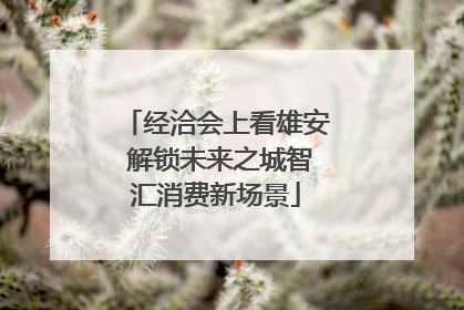 经洽会上看雄安 解锁未来之城智汇消费新场景