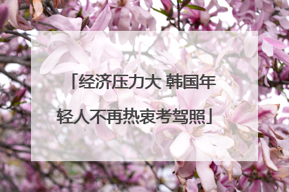 经济压力大 韩国年轻人不再热衷考驾照