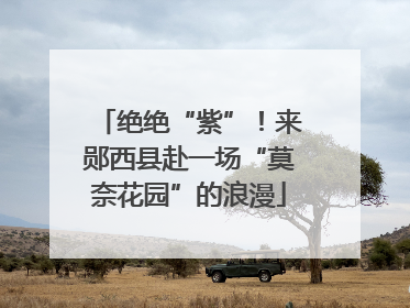 绝绝“紫”！来郧西县赴一场“莫奈花园”的浪漫