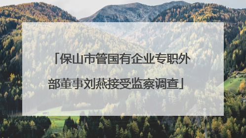 保山市管国有企业专职外部董事刘燕接受监察调查