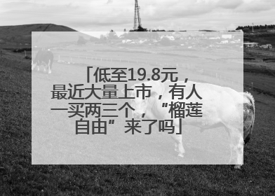 低至19.8元，最近大量上市，有人一买两三个，“榴莲自由”来了吗