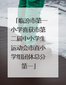 临汾市第一小学喜获市第二届中小学生运动会市直小学组团体总分第一