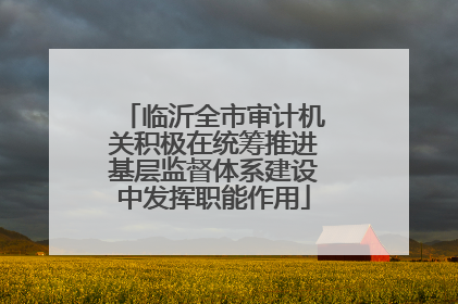 临沂全市审计机关积极在统筹推进基层监督体系建设中发挥职能作用