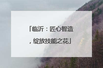 临沂：匠心智造，绽放技能之花