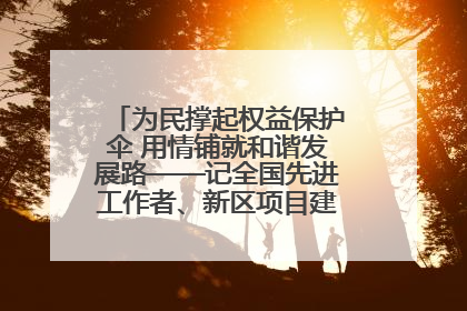 为民撑起权益保护伞 用情铺就和谐发展路——记全国先进工作者、新区项目建设中心干部卢小勇