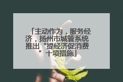 主动作为，服务经济，扬州市城管系统推出“提经济促消费”十项措施