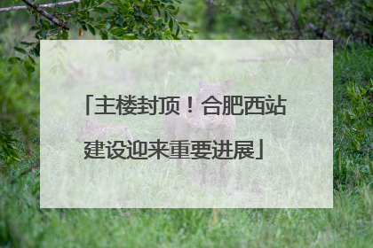 主楼封顶！合肥西站建设迎来重要进展