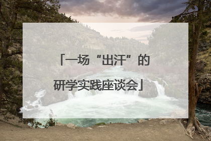 一场“出汗”的研学实践座谈会