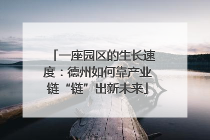 一座园区的生长速度：德州如何靠产业链“链”出新未来