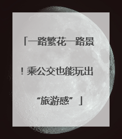 一路繁花一路景！乘公交也能玩出“旅游感”