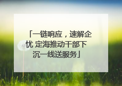 一链响应，速解企忧 定海推动干部下沉一线送服务