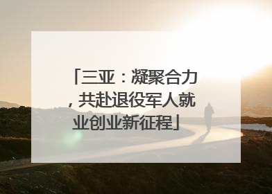 三亚：凝聚合力，共赴退役军人就业创业新征程