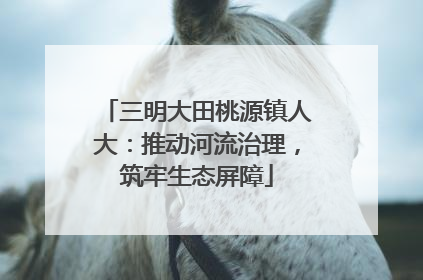 三明大田桃源镇人大：推动河流治理，筑牢生态屏障