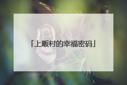 上畈村的幸福密码