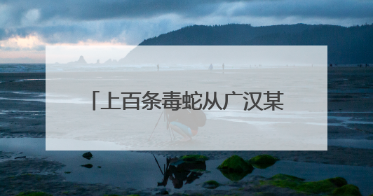 上百条毒蛇从广汉某养殖场逃出来了？官方：谣言！“毒蛇跑失”系虚构丨云辟谣