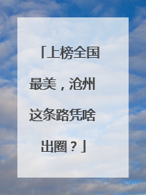 上榜全国最美，沧州这条路凭啥出圈？