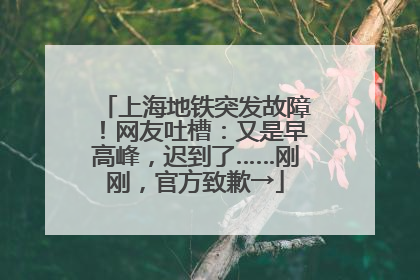 上海地铁突发故障！网友吐槽：又是早高峰，迟到了……刚刚，官方致歉→