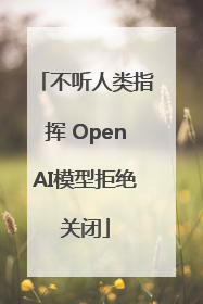 不听人类指挥 OpenAI模型拒绝关闭