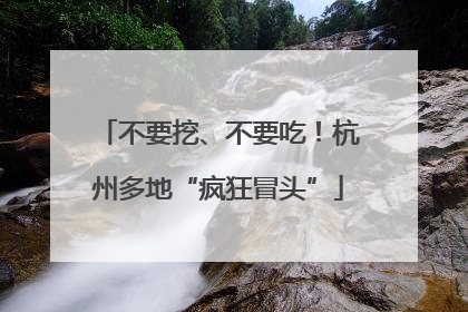 不要挖、不要吃！杭州多地“疯狂冒头”