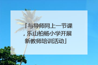 与导师同上一节课，乐山柏杨小学开展新教师培训活动