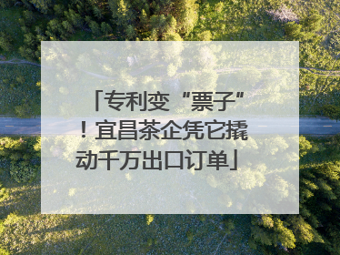 专利变“票子”！宜昌茶企凭它撬动千万出口订单